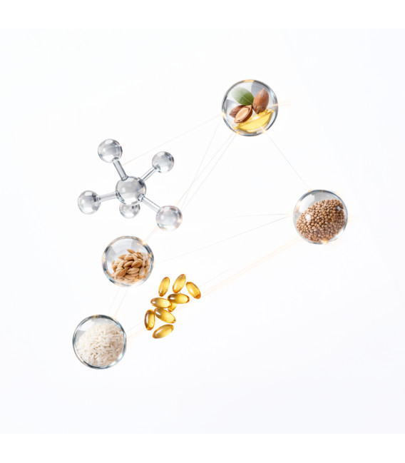 ingredientes naturales rebalance icon