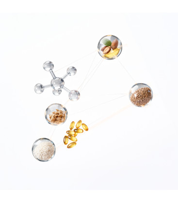 ingredientes naturales rebalance icon