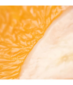 C Vitamin Sublime Oils 30ml | Vitamina C Encapsulada Antimanchas