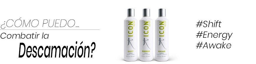 Consejos y Trucos para el cabello - Combatir la Descamación