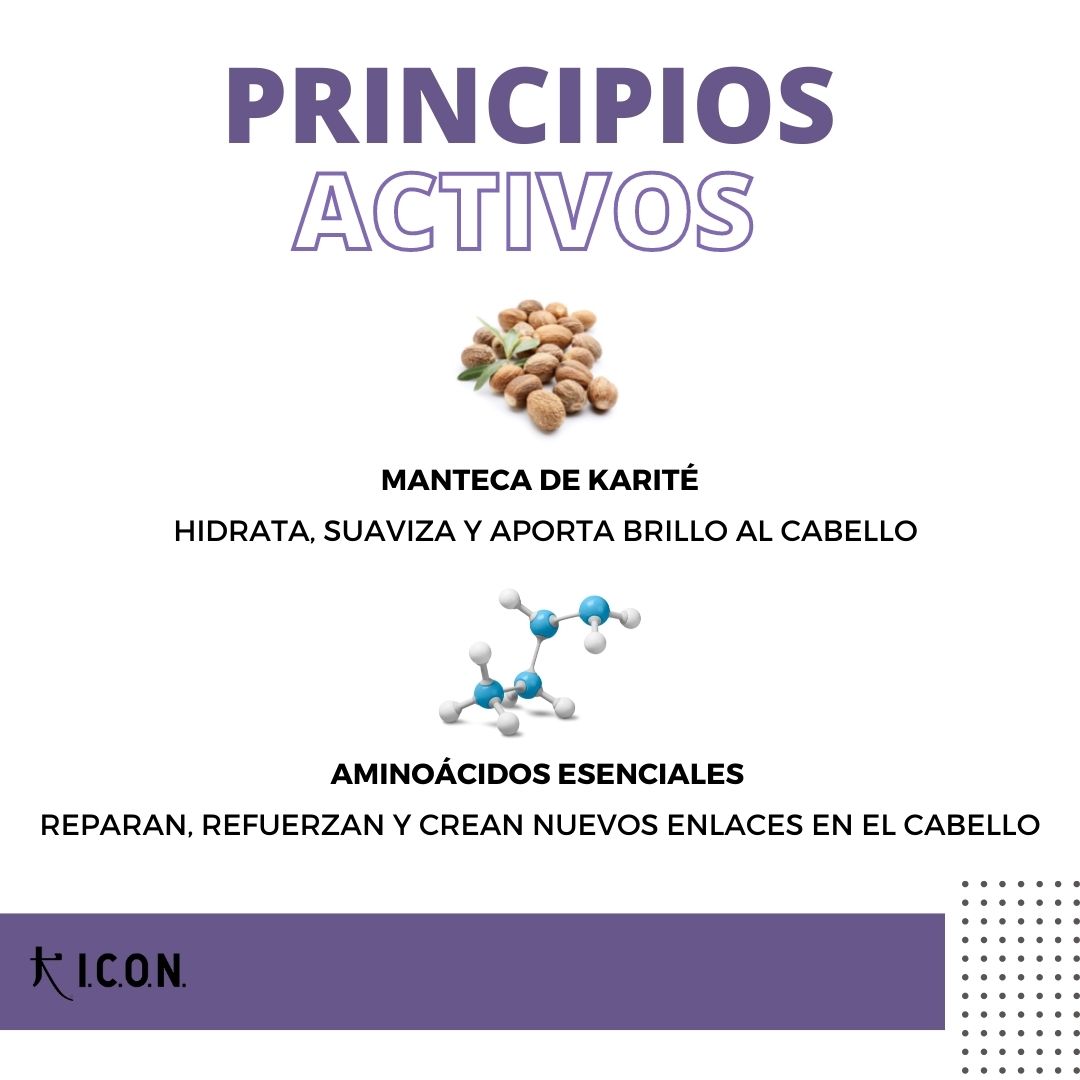 Principios activos del nuevo Champú Sólido ICON