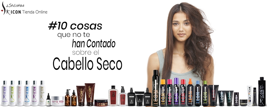 10 Cosas que nadie te cuenta sobre el cabello Seco
